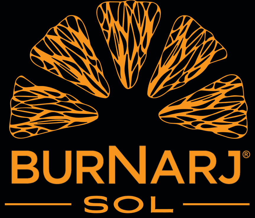 BurNarj Sol — Born In Spain ~ Made In Chicago